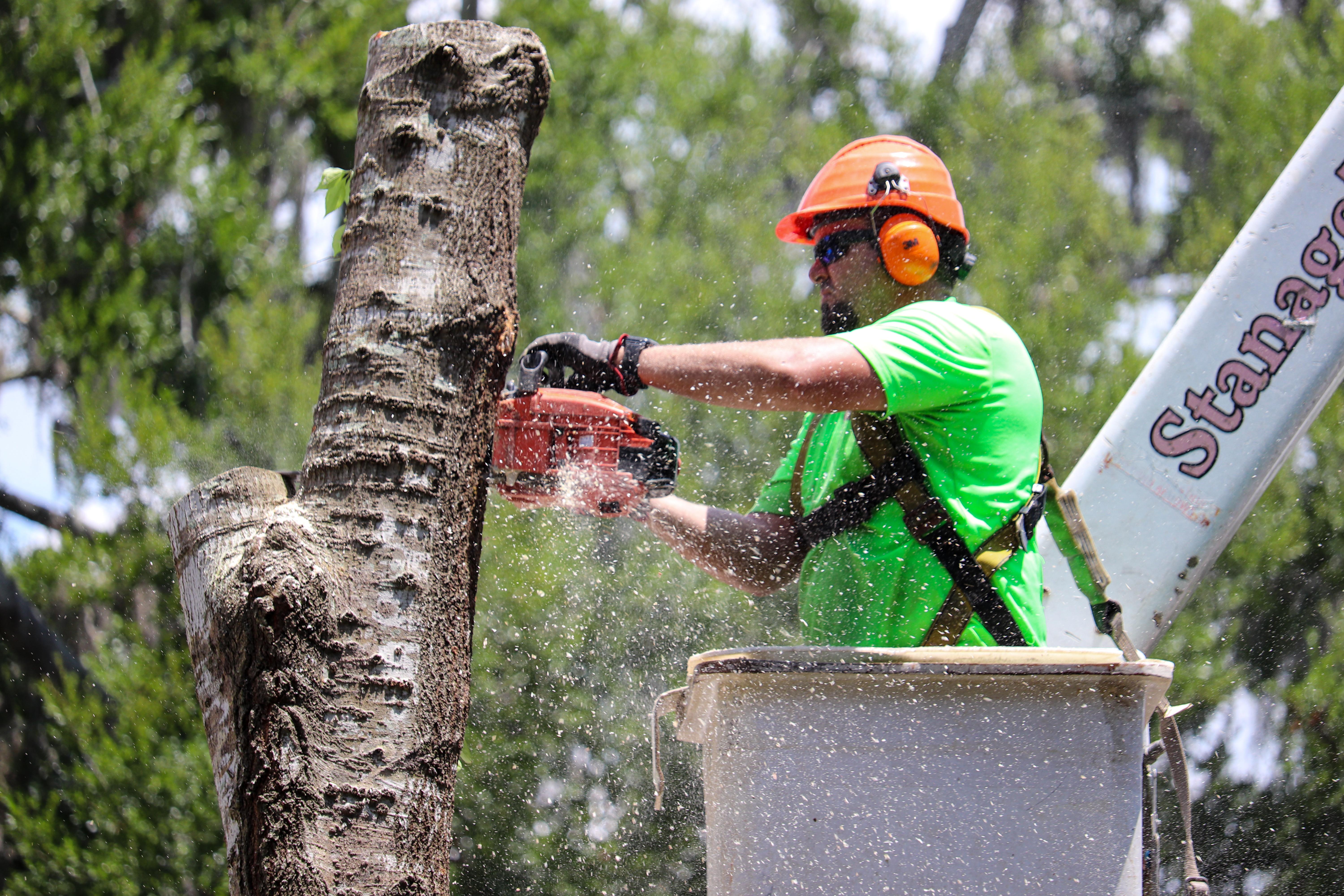 Stanage Tree Service Reviews Fruitland Park, FL Angi