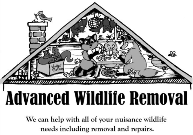 Avatar for Advanced Wildlife Removal