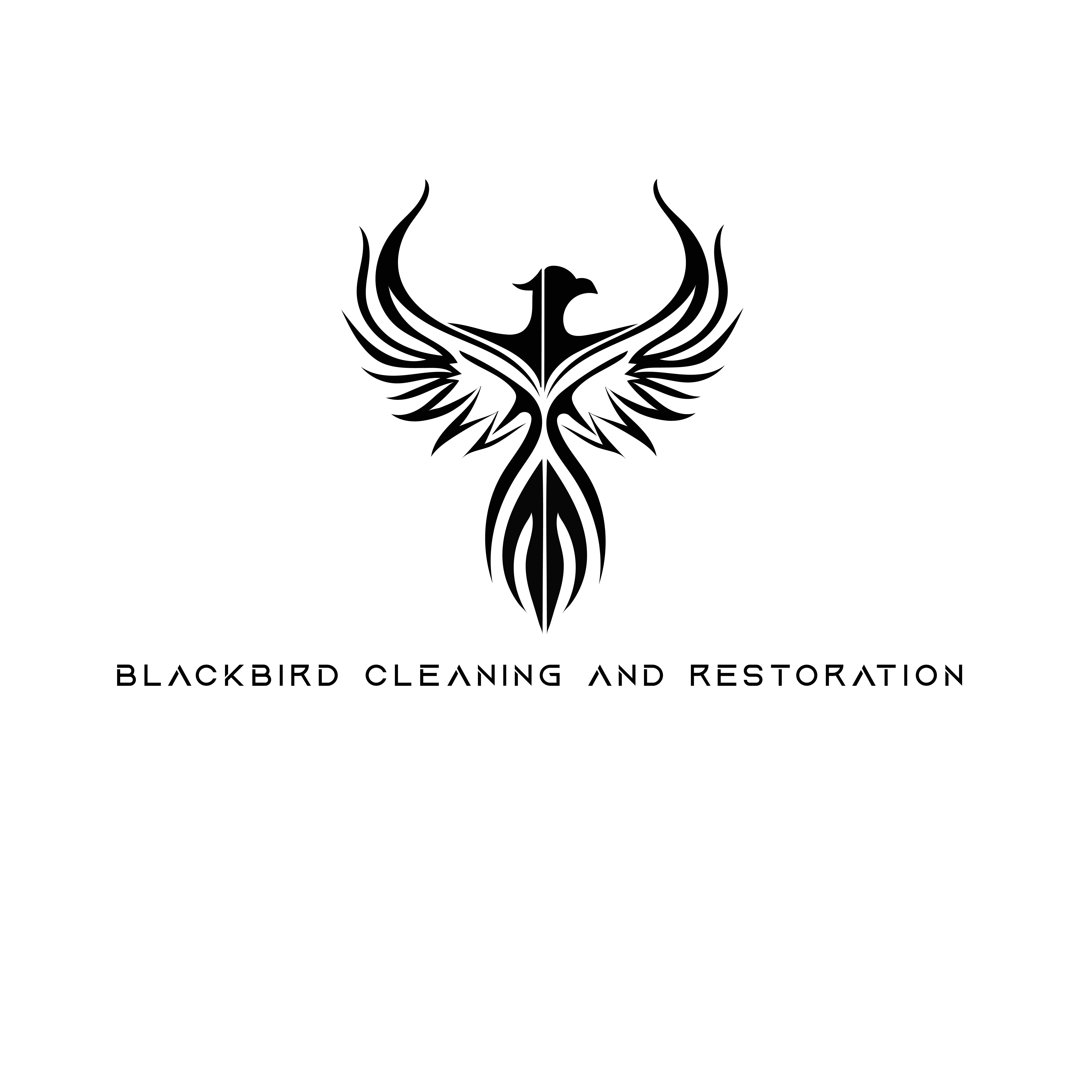 Avatar for BlackBird Cleaning and Restoration
