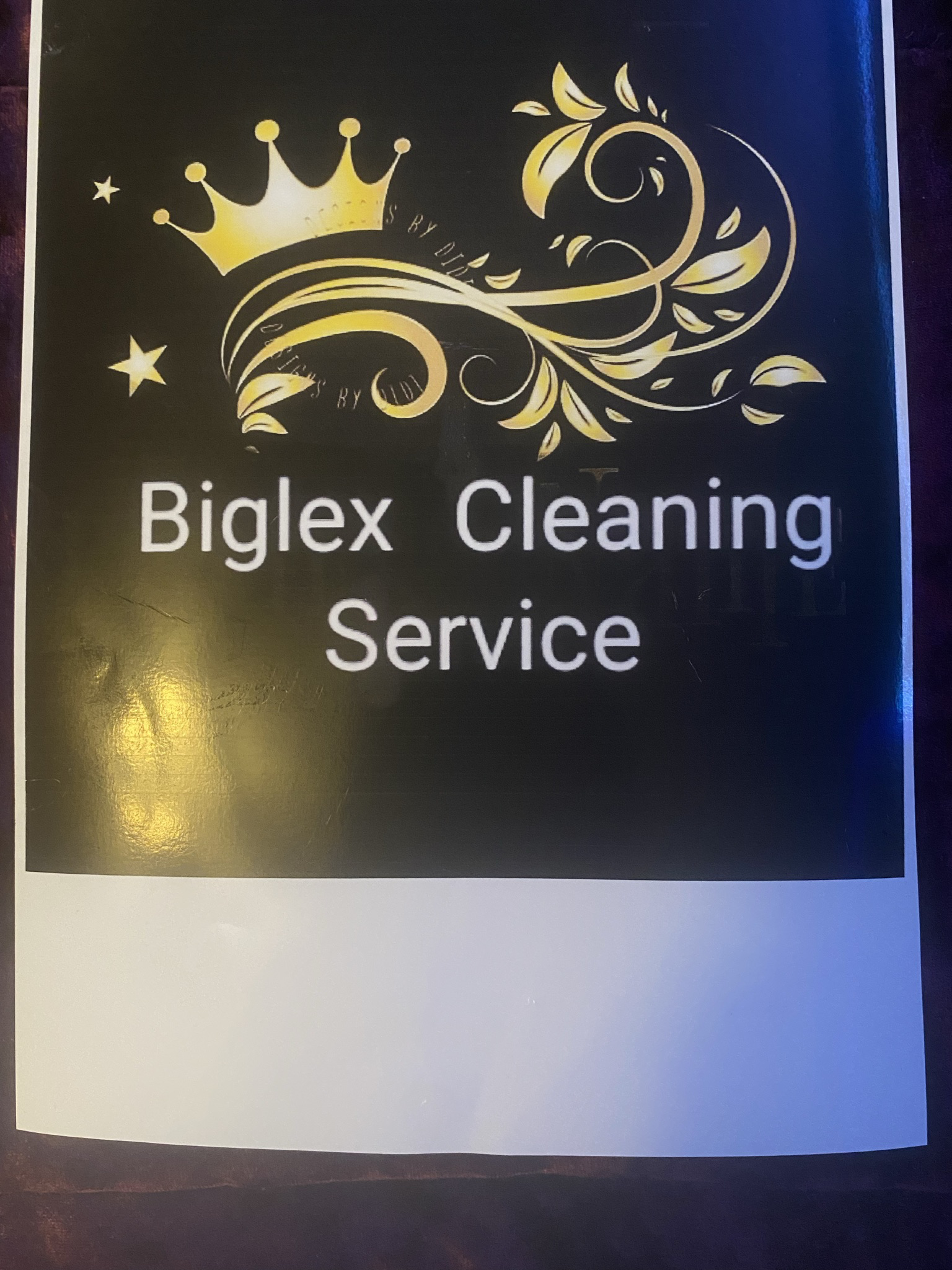 Biglex Cleaning Service logo