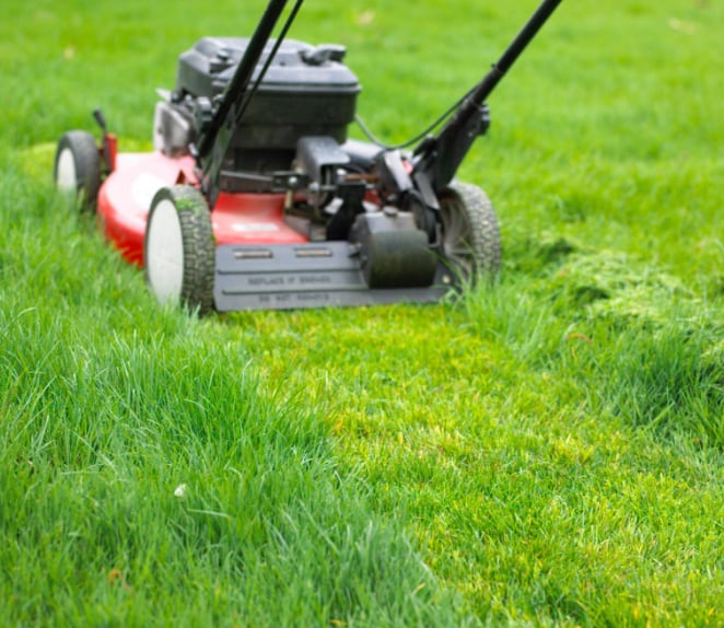 Avatar for Jacksen’s lawn care