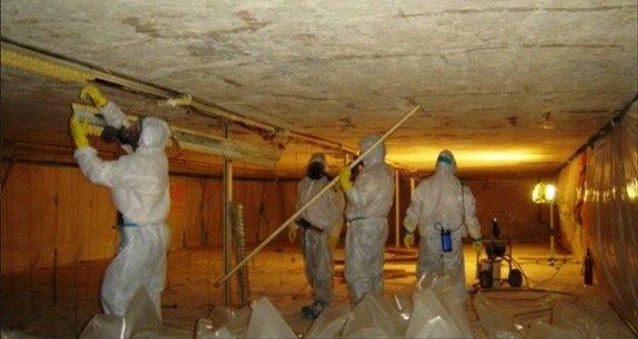 Environmental Hazard Remediation