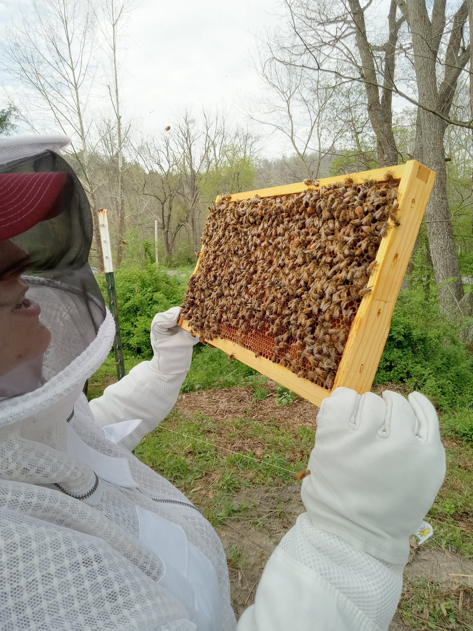 Avatar for Momma's Cleaning 