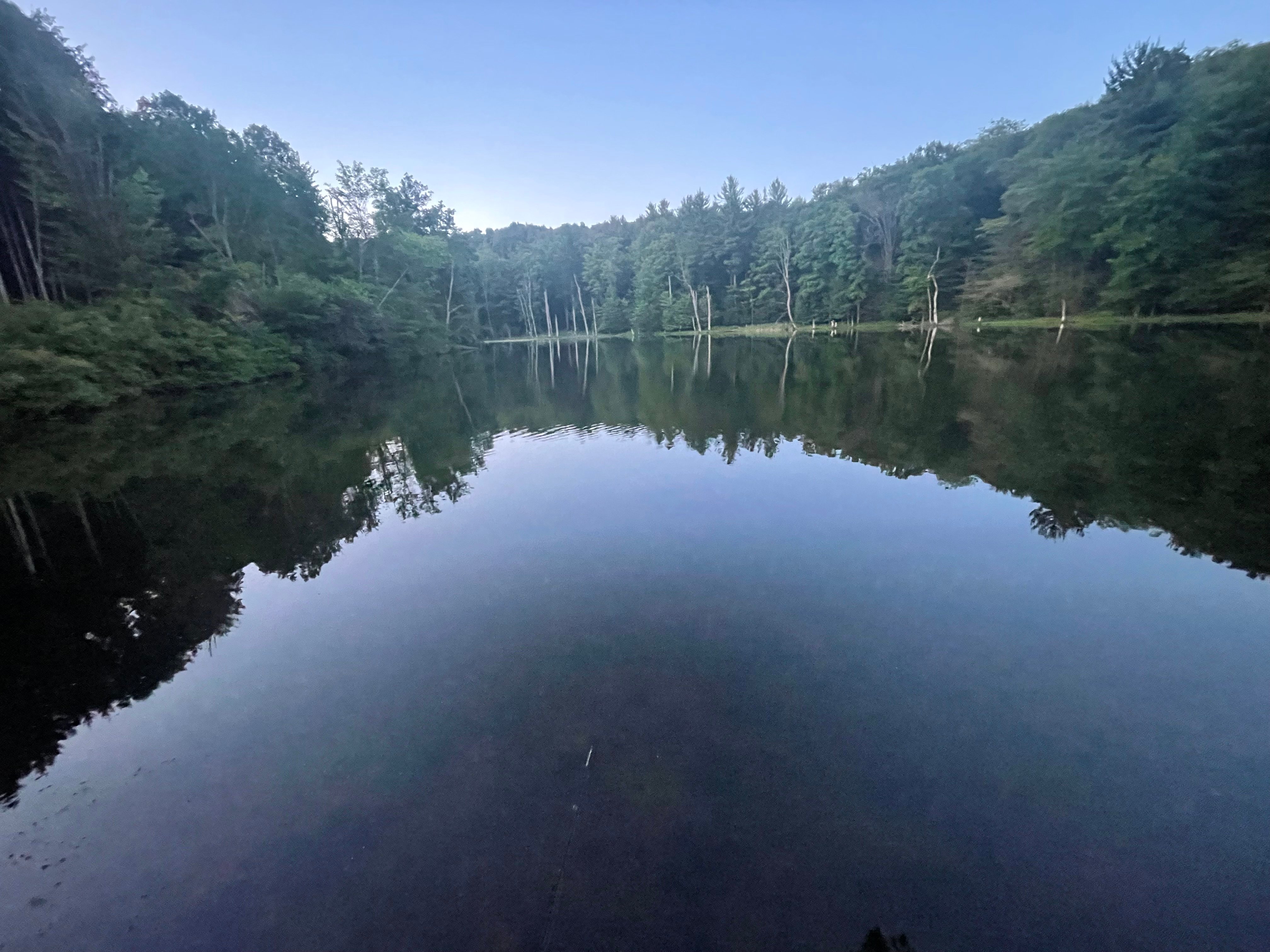 Avatar for Robert owles