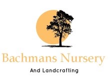 Avatar for Bachmans Nursery and Landcrafting service