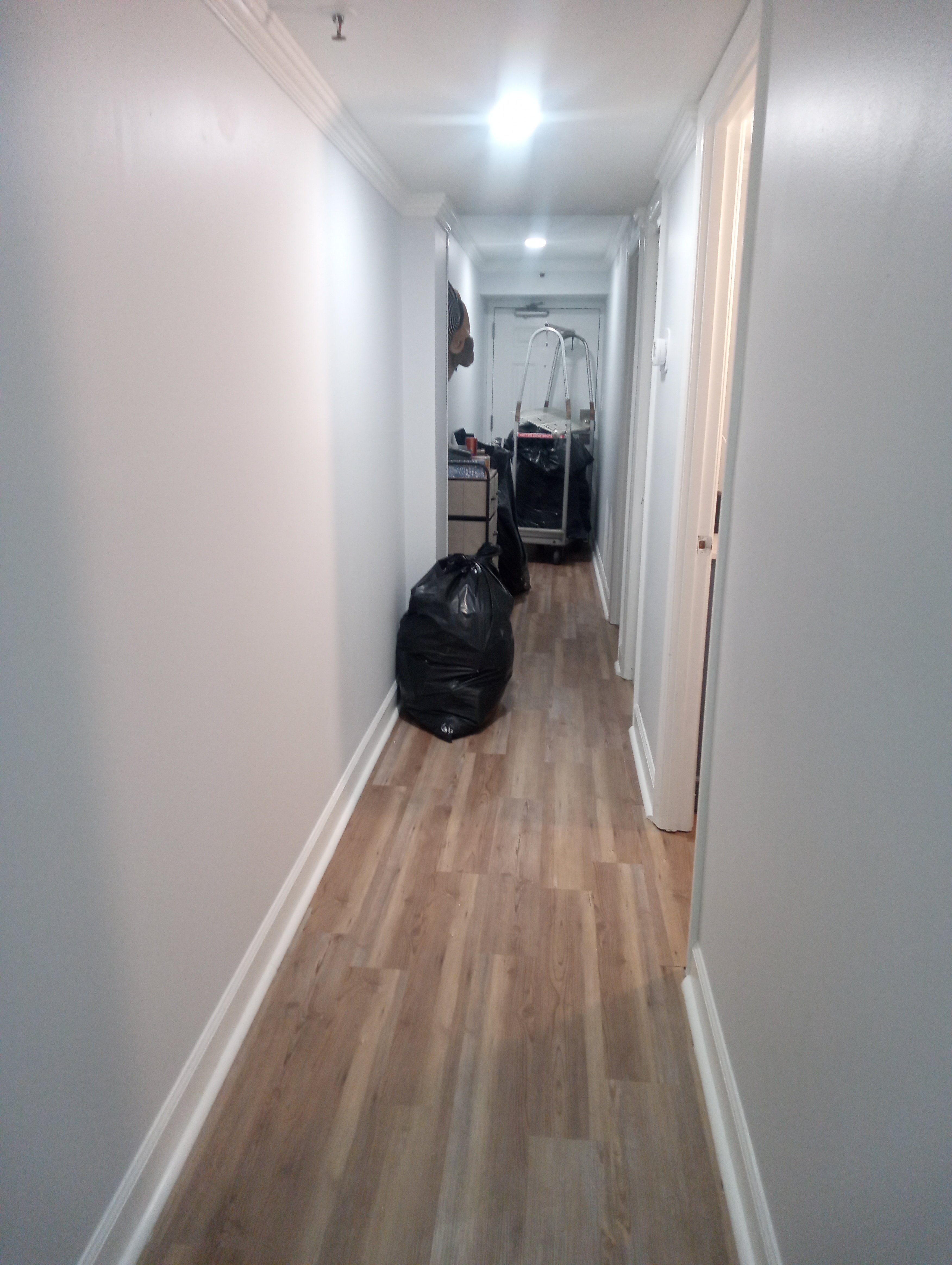 Avatar for MCD Painting