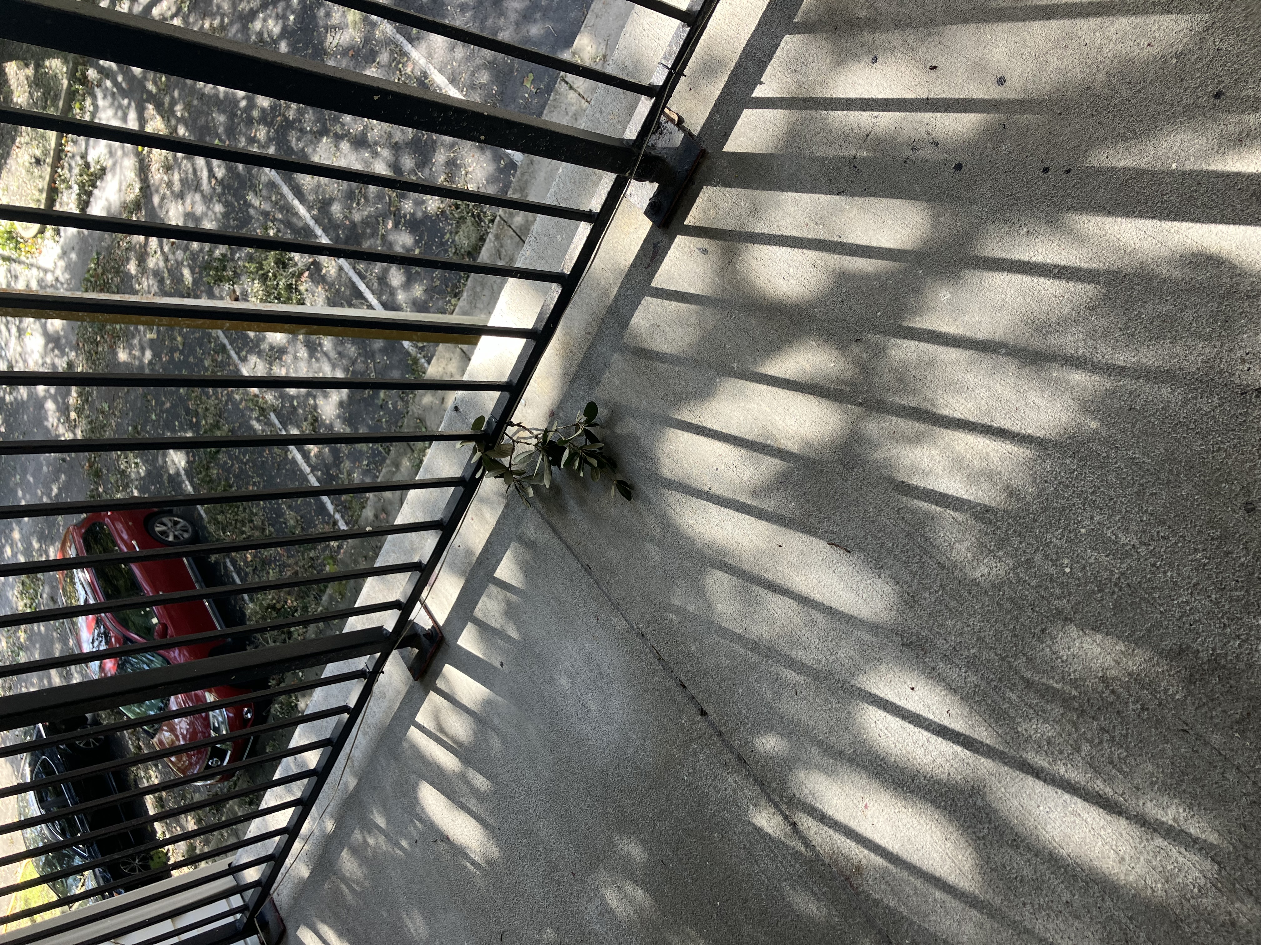 Avatar for Robert Bryant