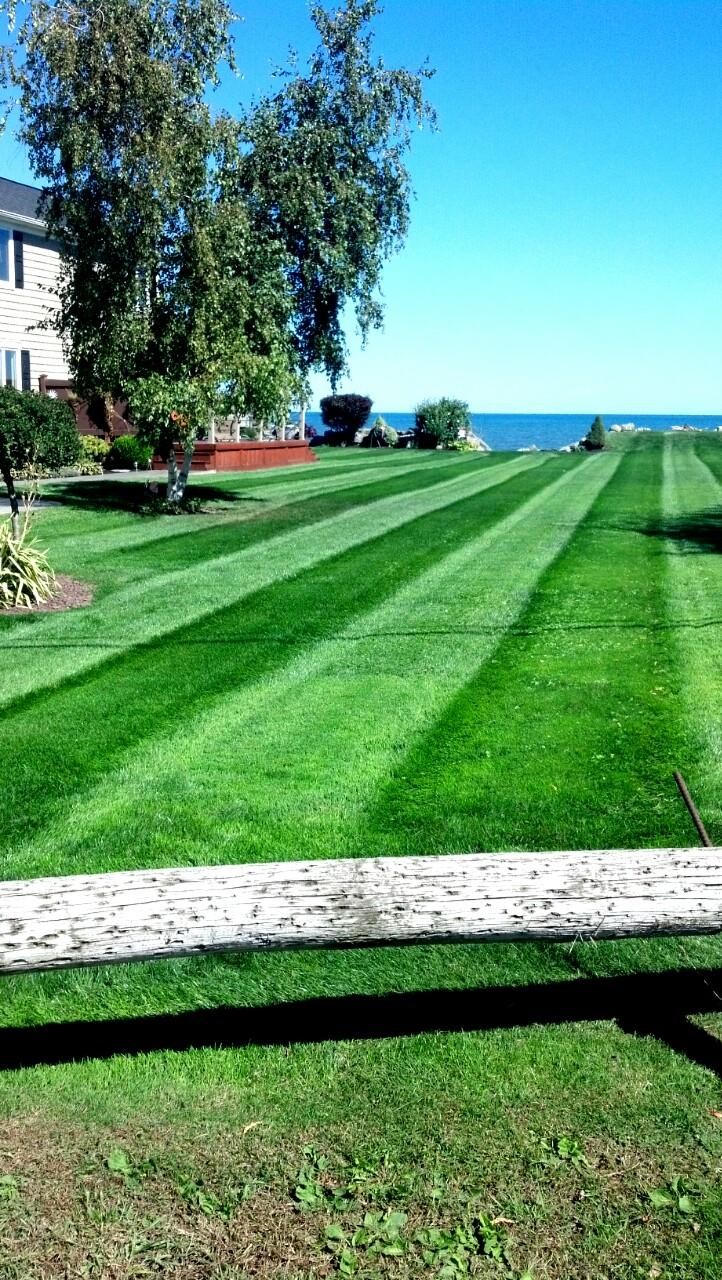 Avatar for Grass Masters Inc