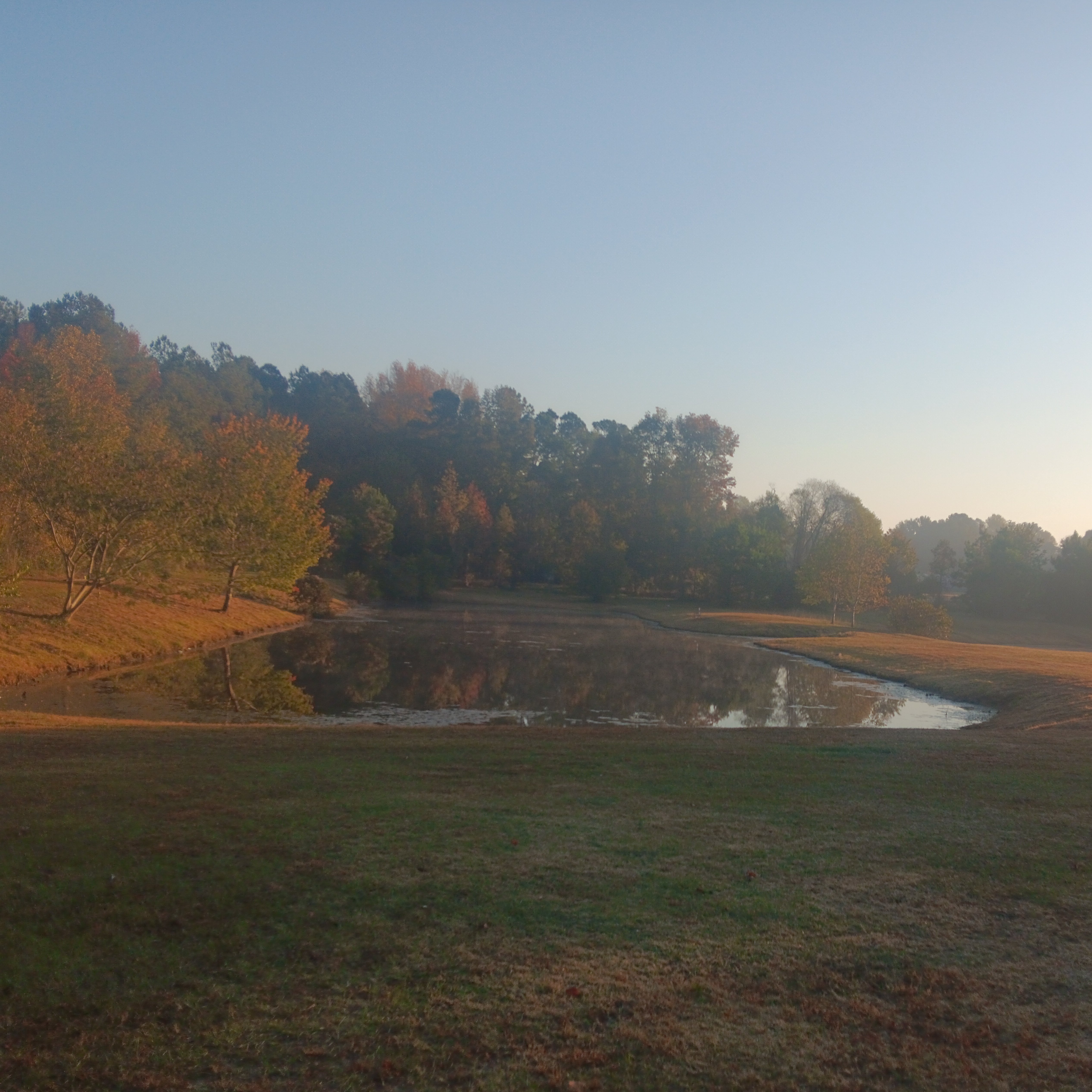 Avatar for Anthony's