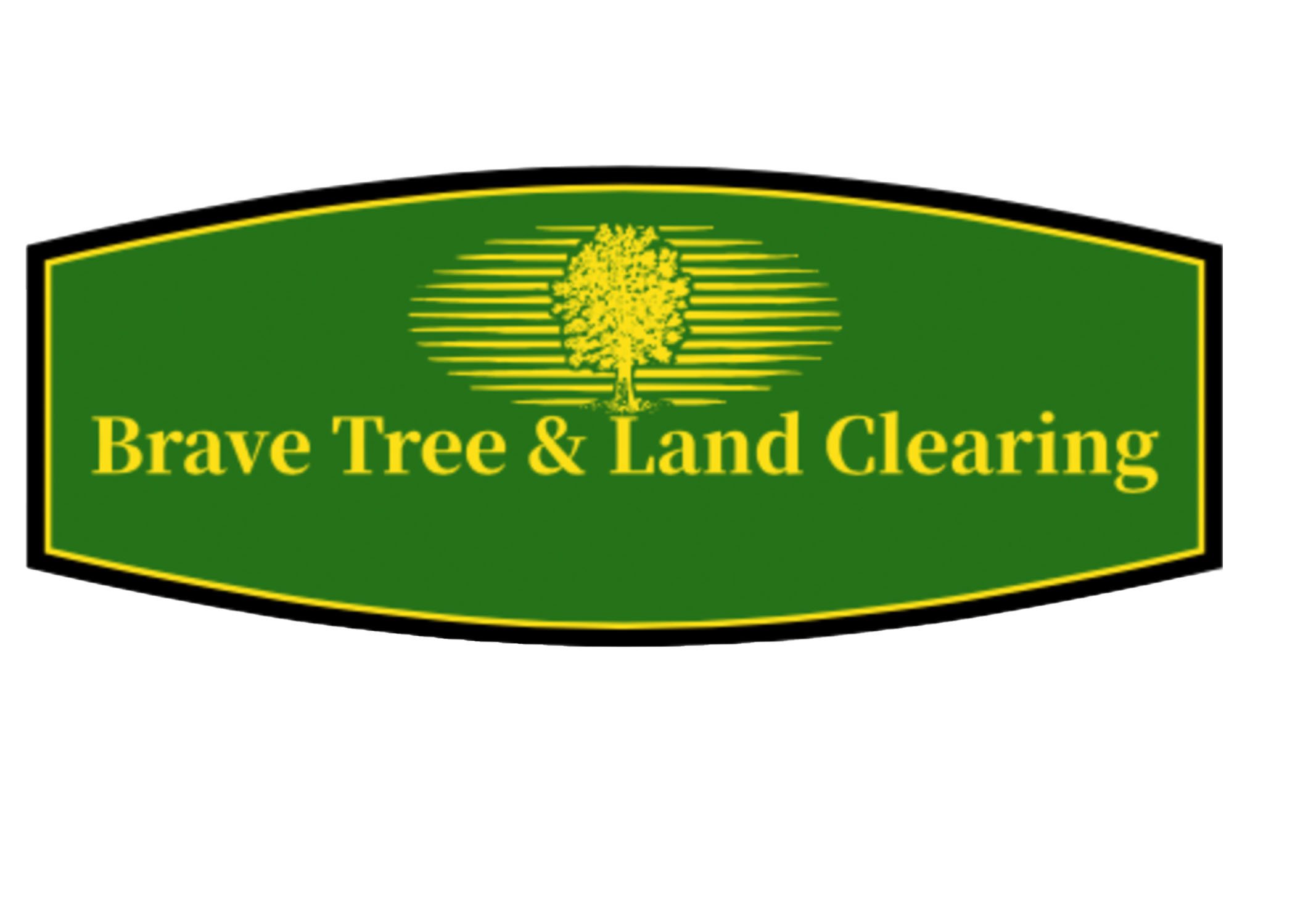 Avatar for Brave Tree and Land Clearing 