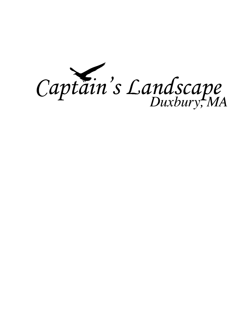 Captain's Landscape logo