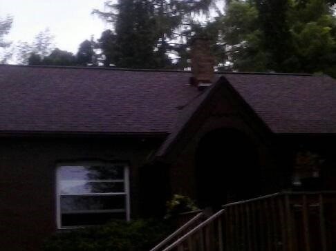 Avatar for Paul & Son's Roofing