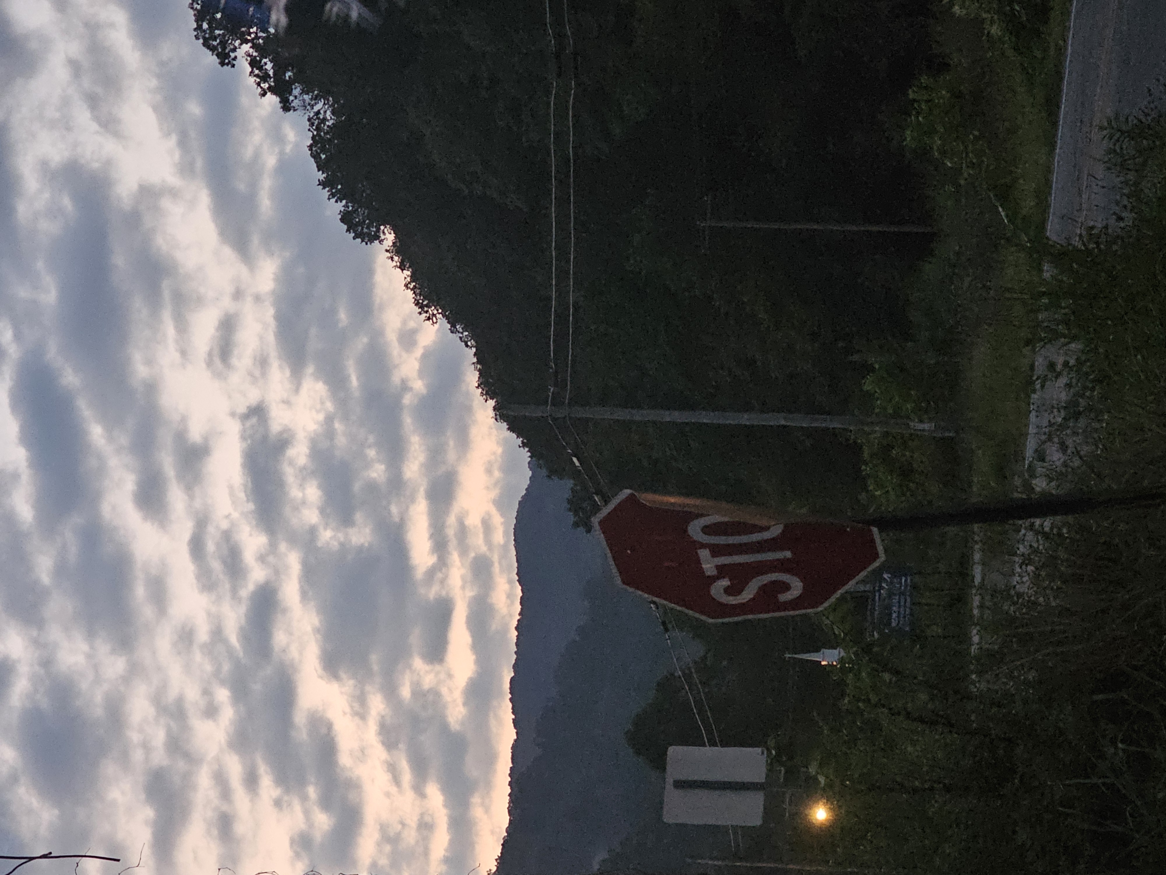 Avatar for Craig saylor