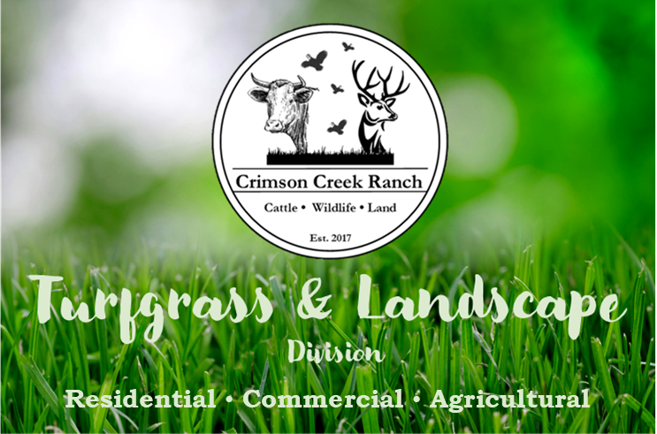 Avatar for Crimson Creek Ranch: Turfgrass and Landscape