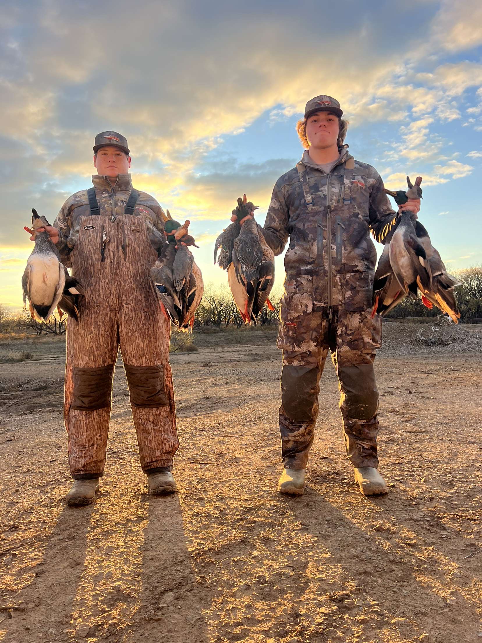 Avatar for Elite power washing 