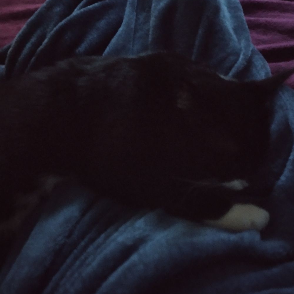 Avatar for Ashley's Clean Getaway