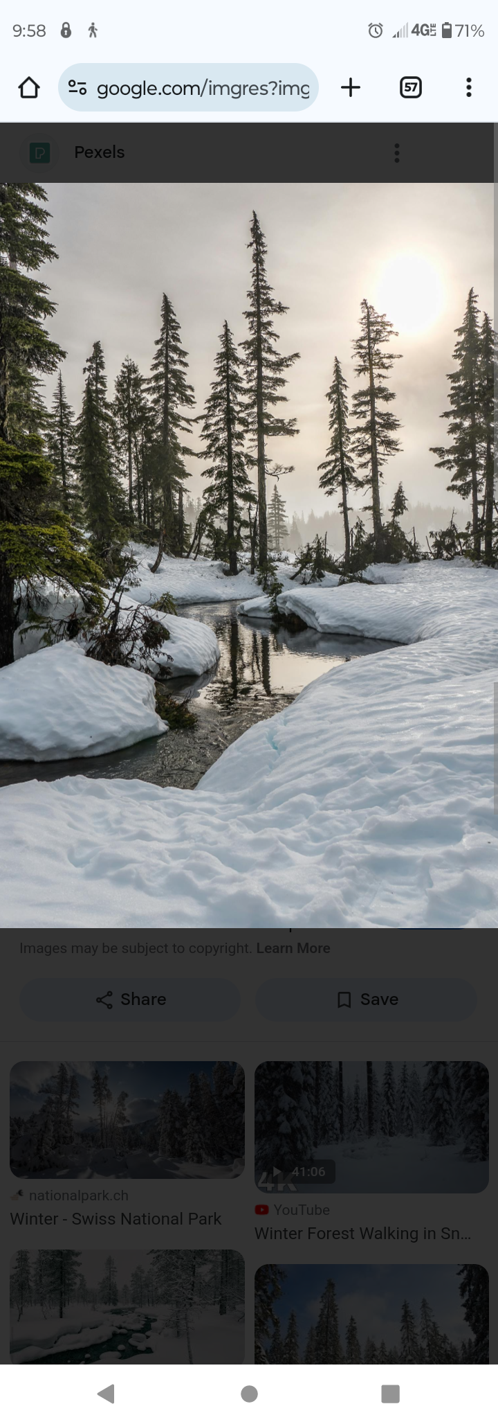 Avatar for Briglins snow removal 