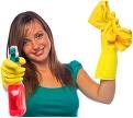 Delmy's Cleaning Service logo