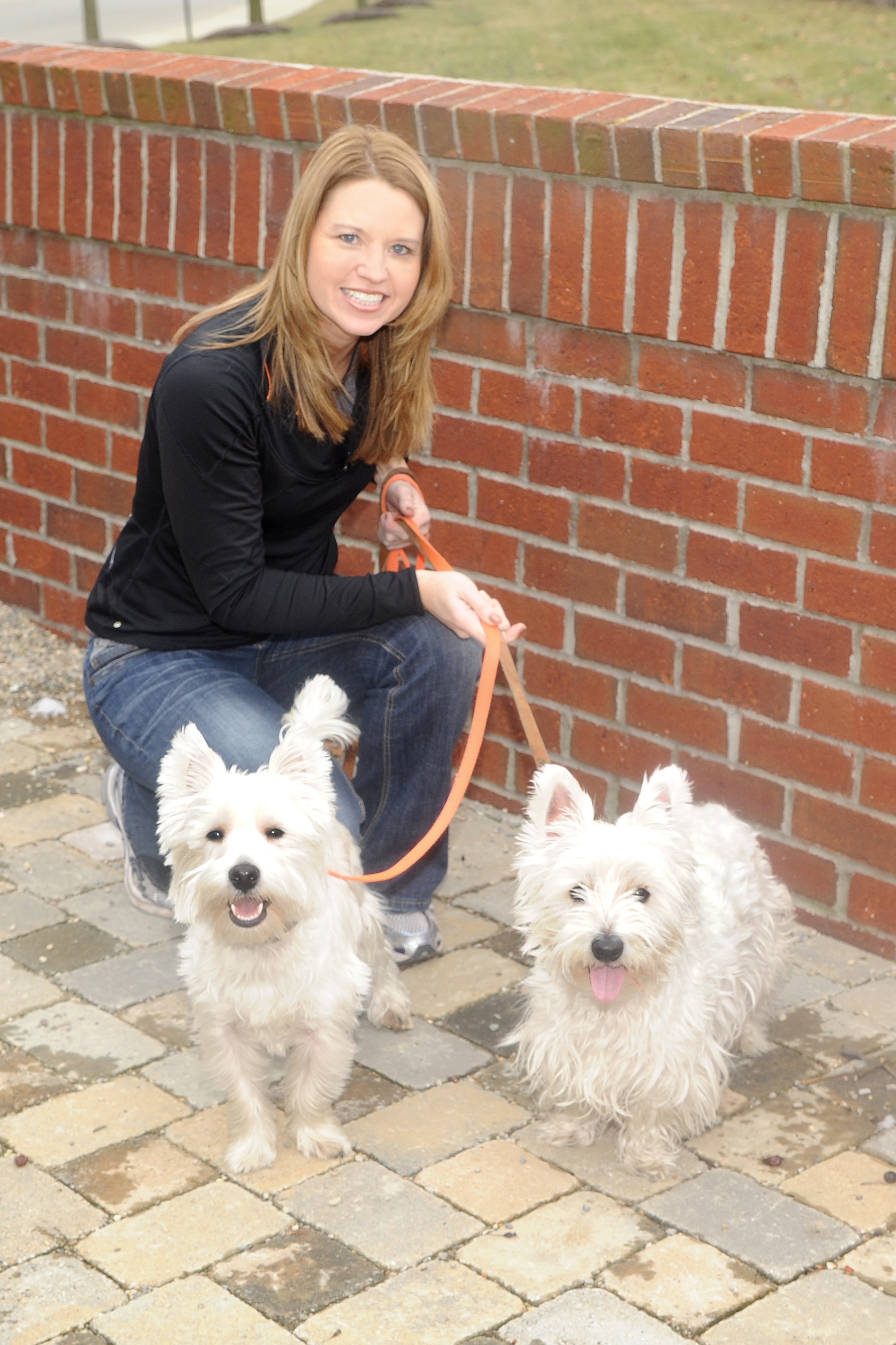 Midday Dog Walkers 
