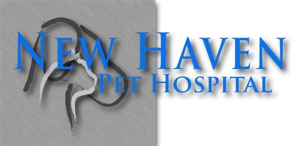Logo for NEW HAVEN PET HOSPITAL