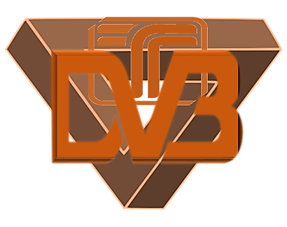 Design Vision Build Team logo