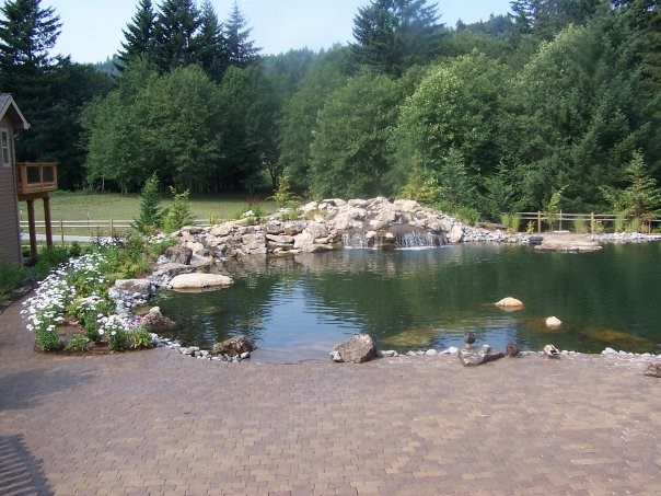 Avatar for WOODY'S CUSTOM LANDSCAPING