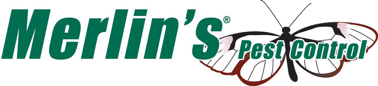 Avatar for Merlin's Pest Control