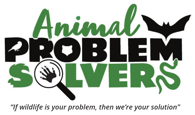 Avatar for Animal Problem Solvers
