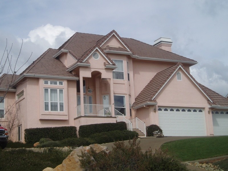 Avatar for Tom Carlson Referable Painting