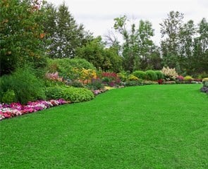Avatar for Top Choice Lawn Care