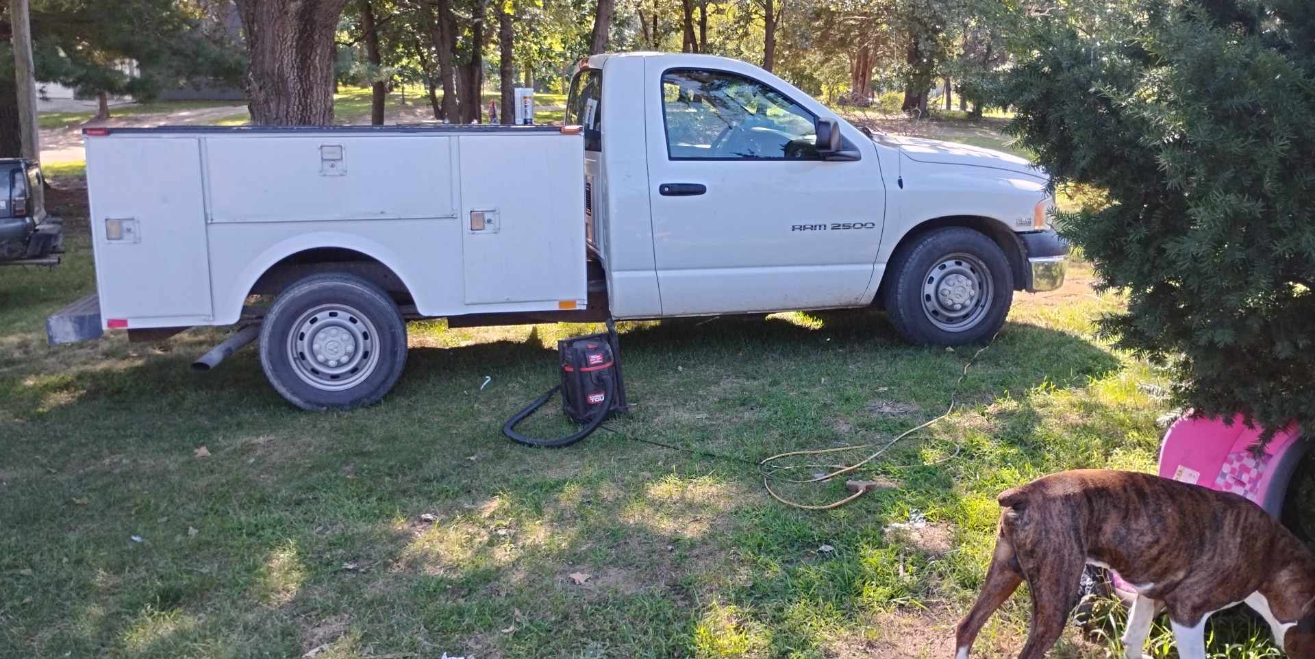 Avatar for Whitmire's handyman services