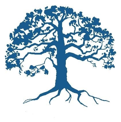 Avatar for Blue Tree Enterprises