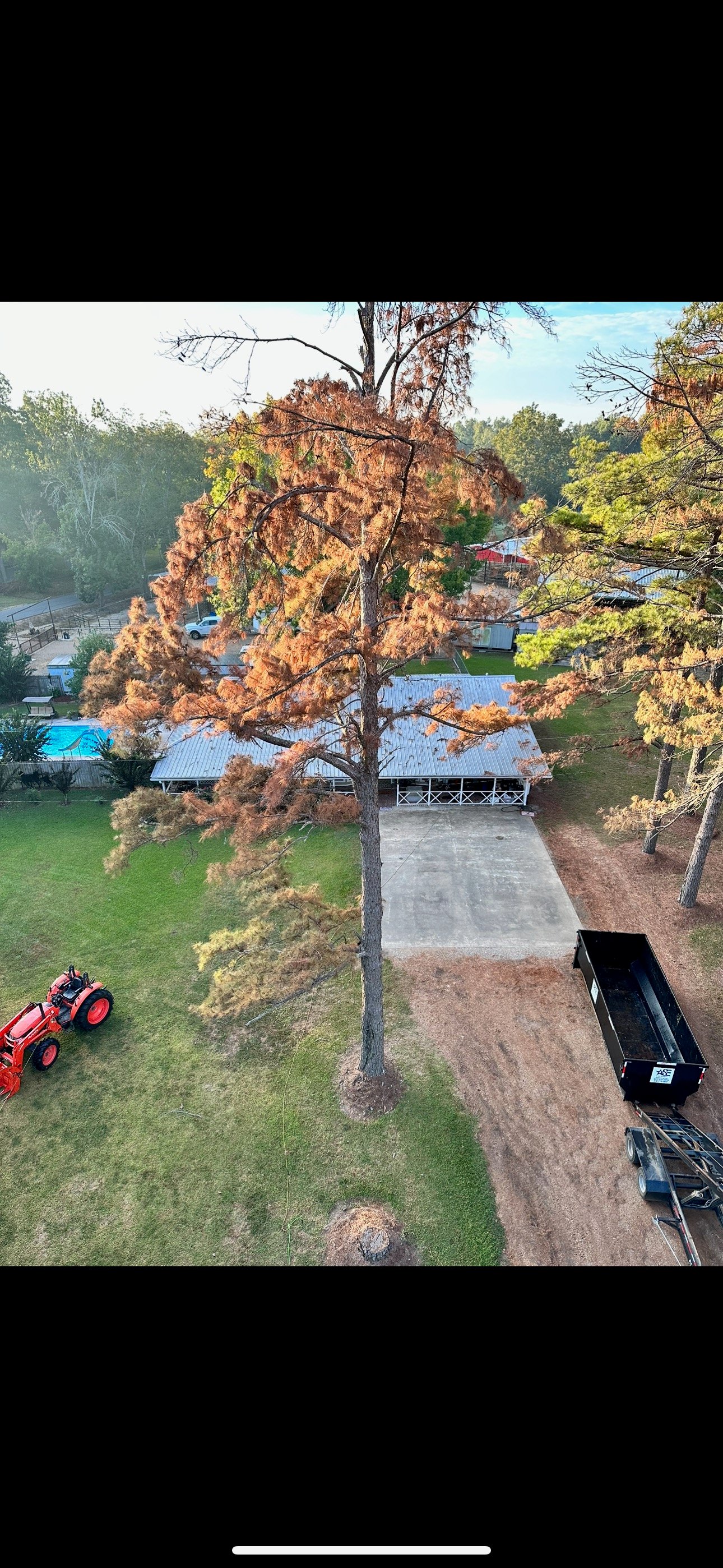 Avatar for T&C Tree Services L.L.C.