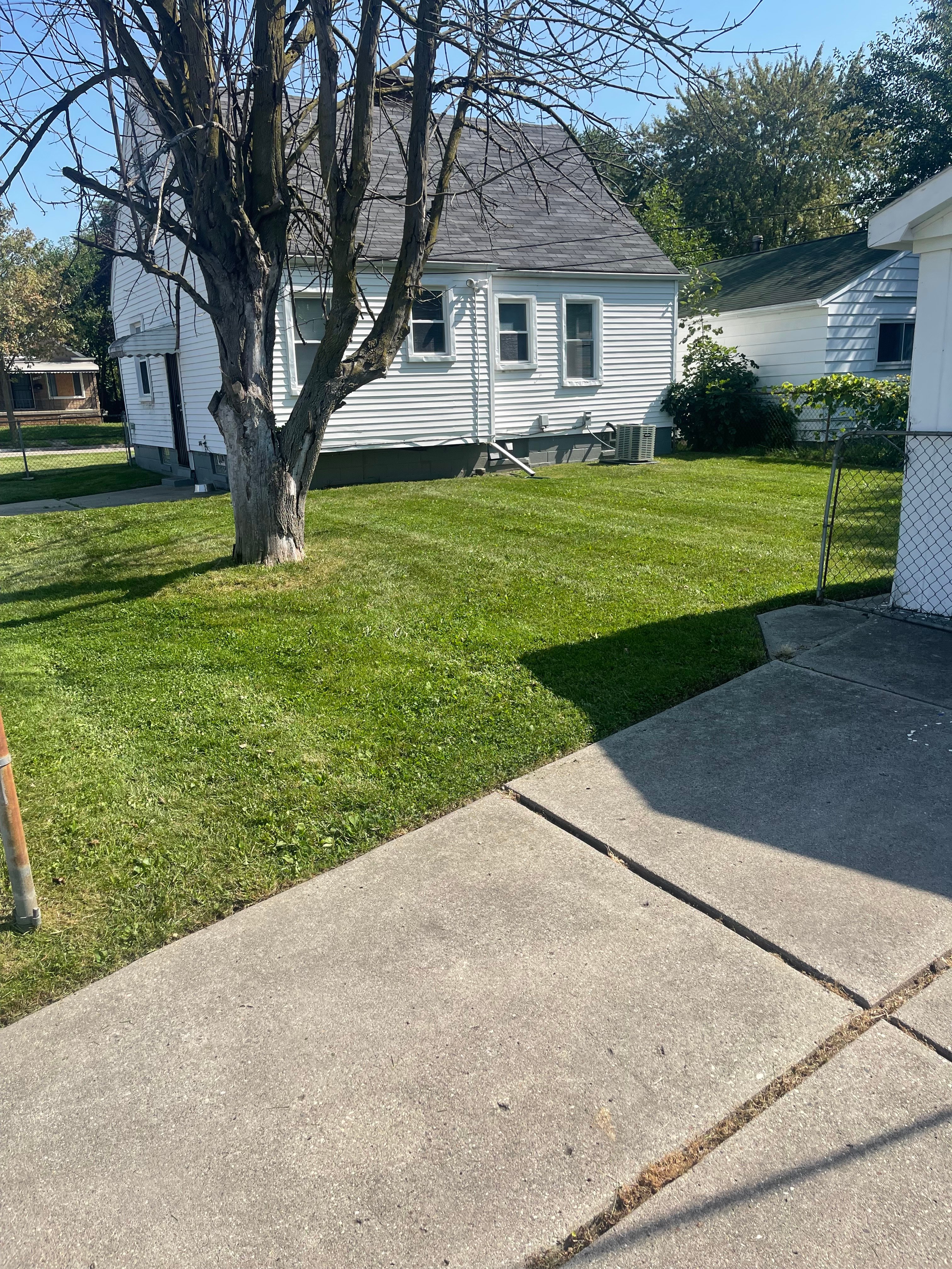 Avatar for Cut it now lawncare