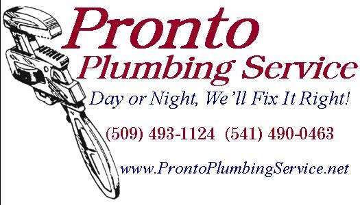 Logo for Pronto Plumbing Service