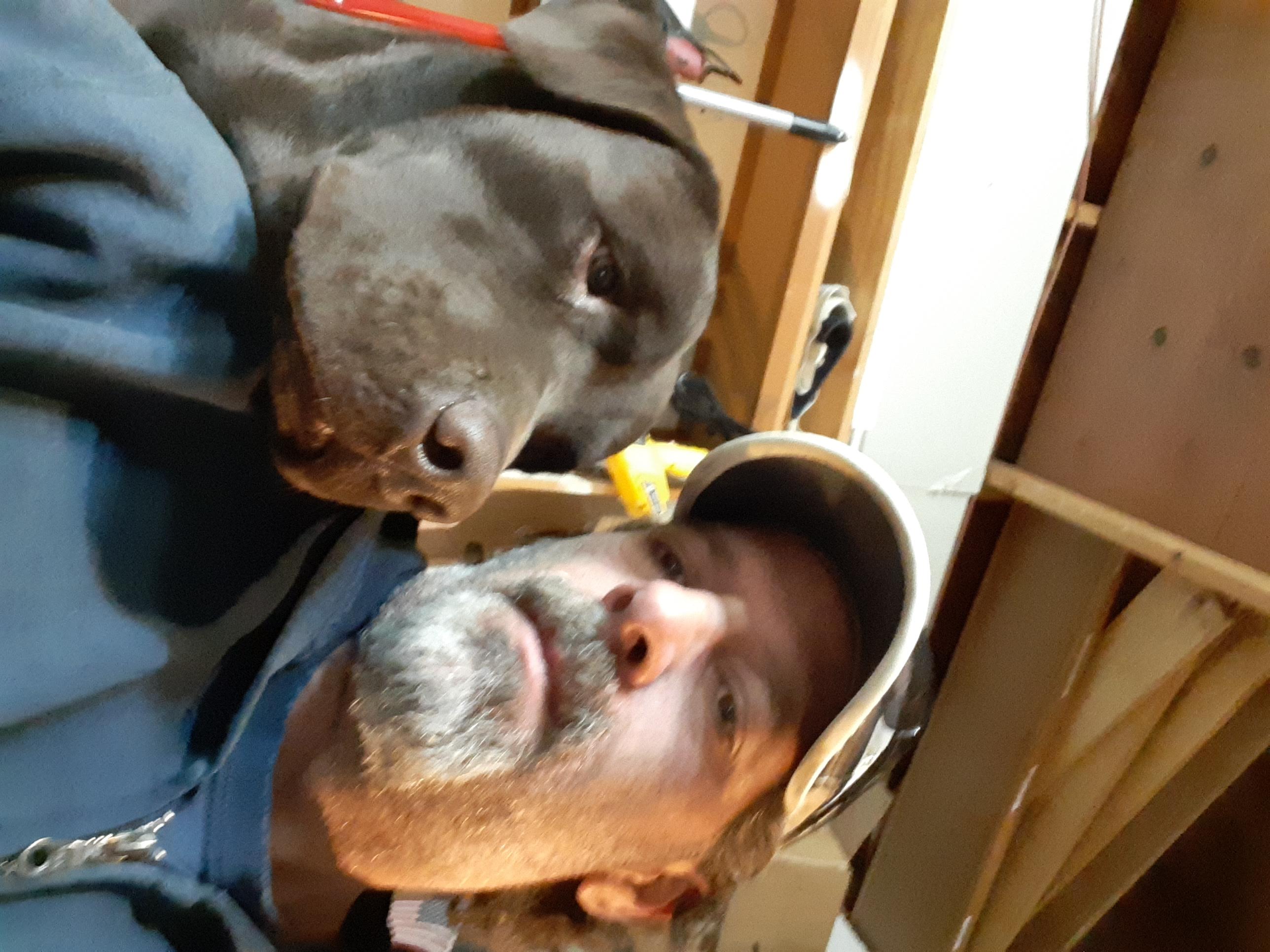 Avatar for MR handyman