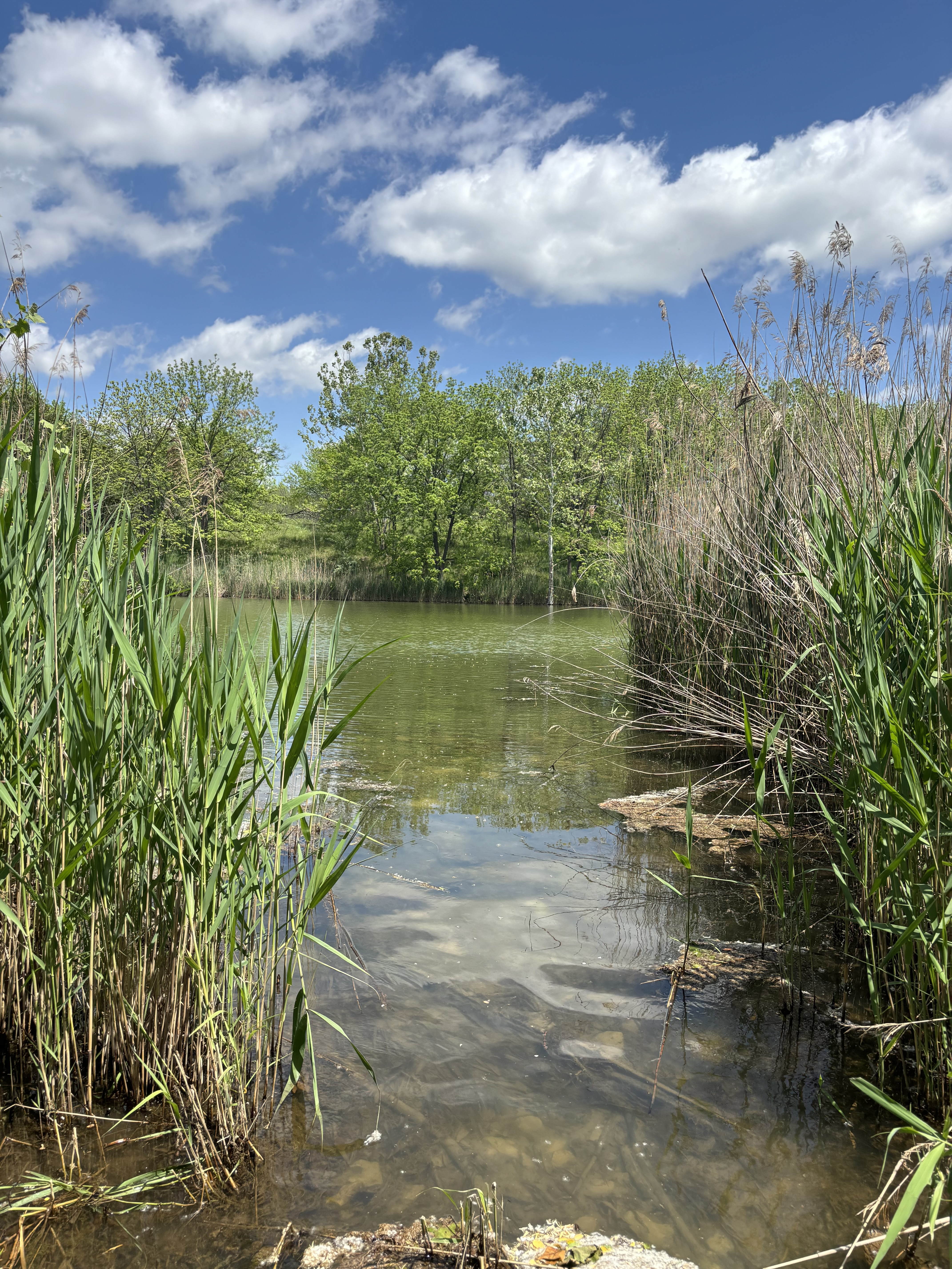 Avatar for Sullivan landscaping