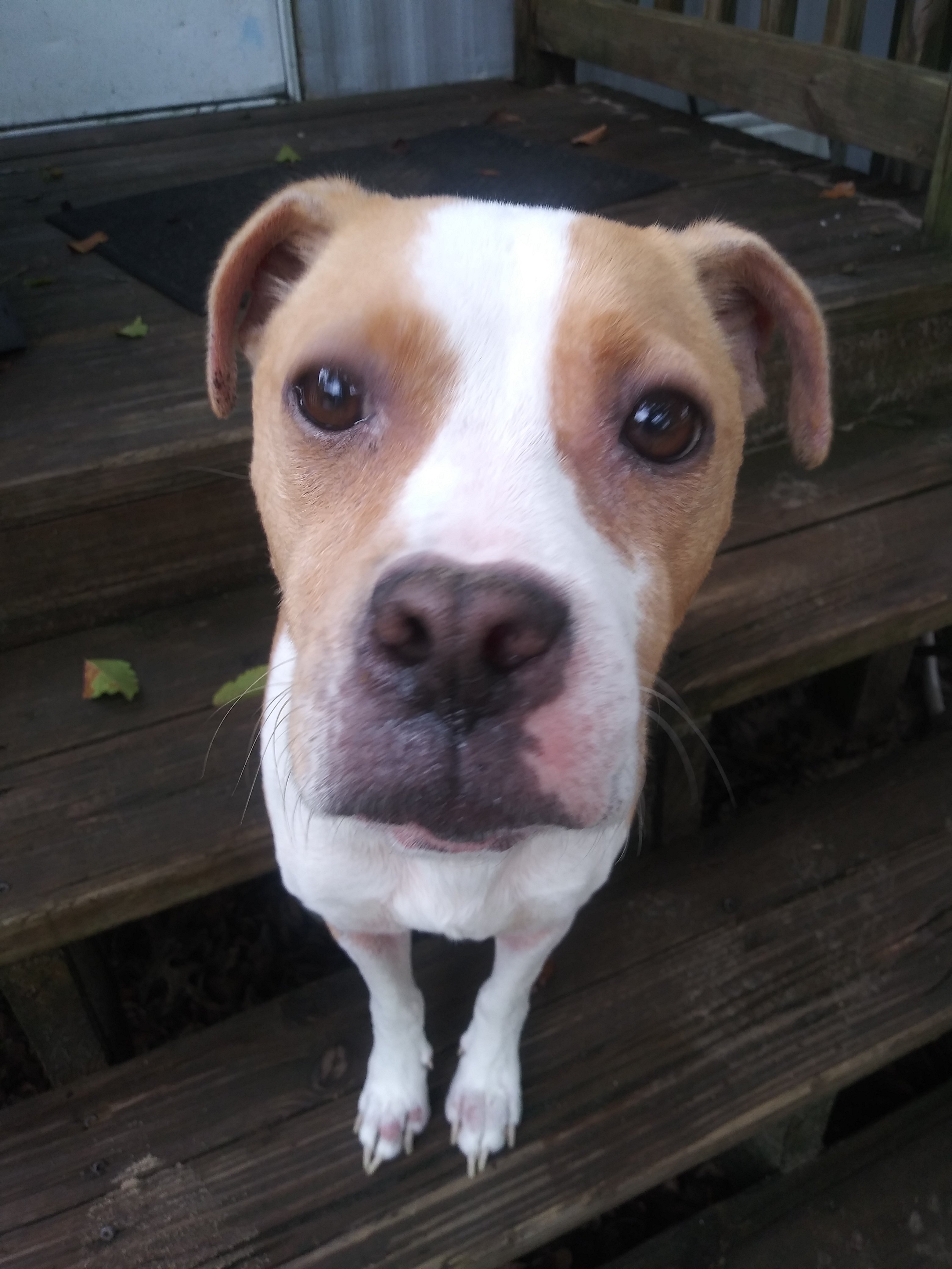 Avatar for Johnsens maintenance