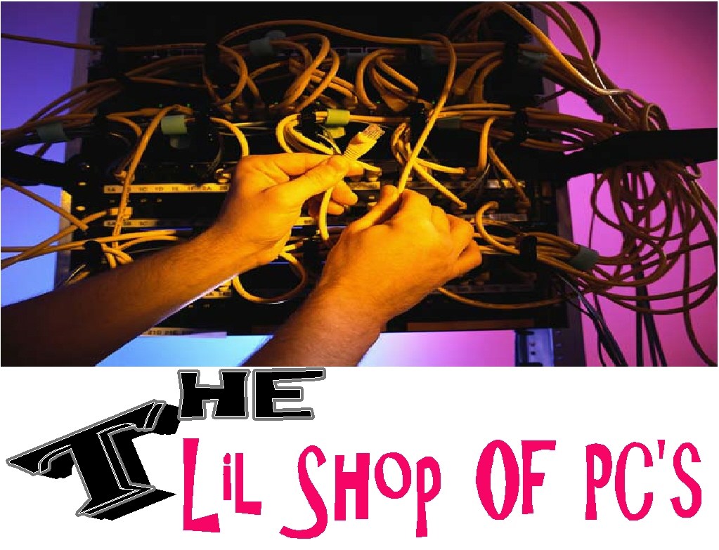 The Lil Shop Of PC's logo