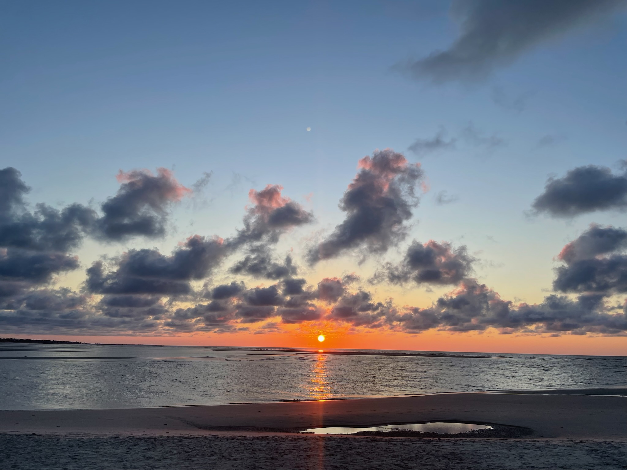 Avatar for Affordable cleaning company