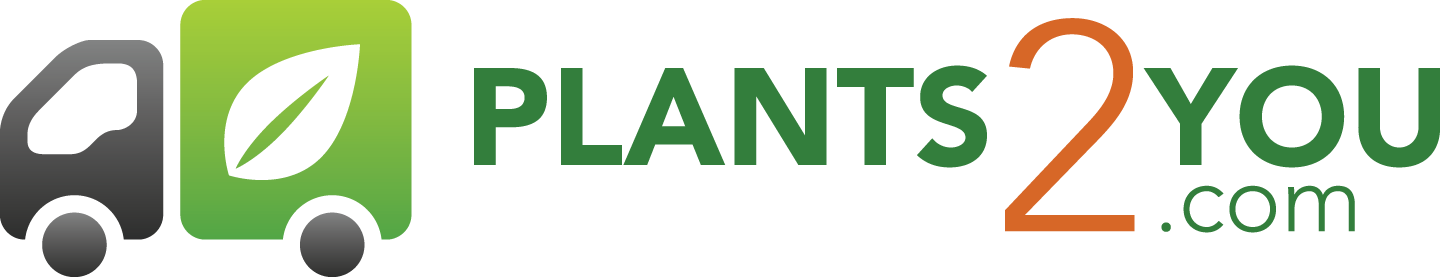 Plants2you.com logo