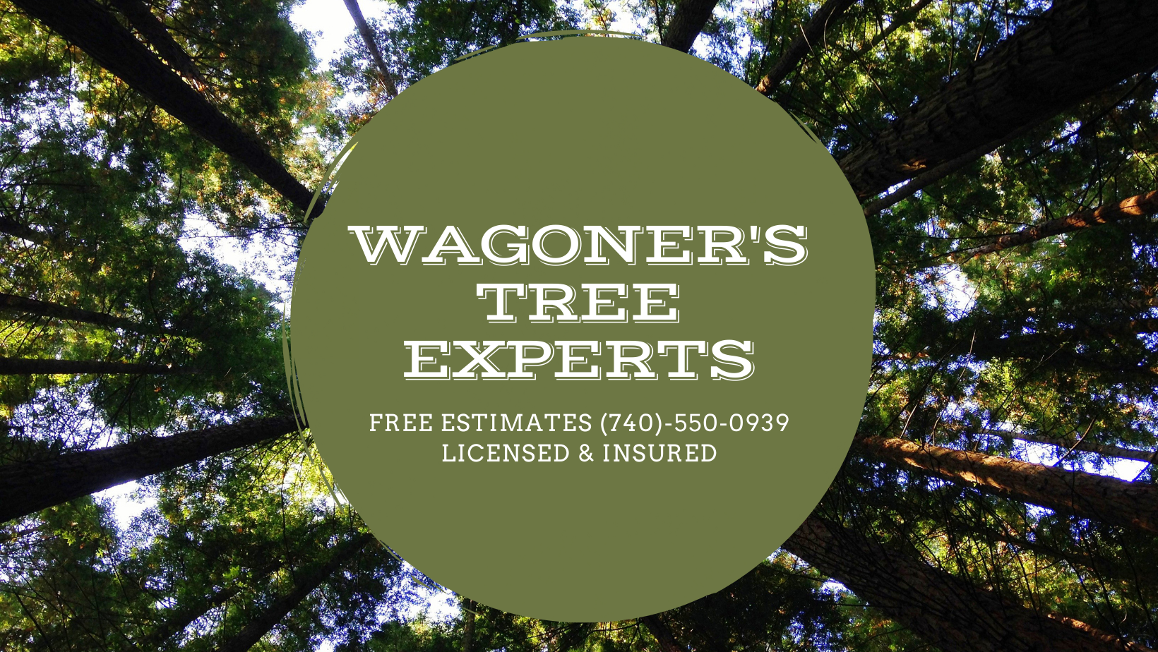Avatar for Wagoner's Tree Experts