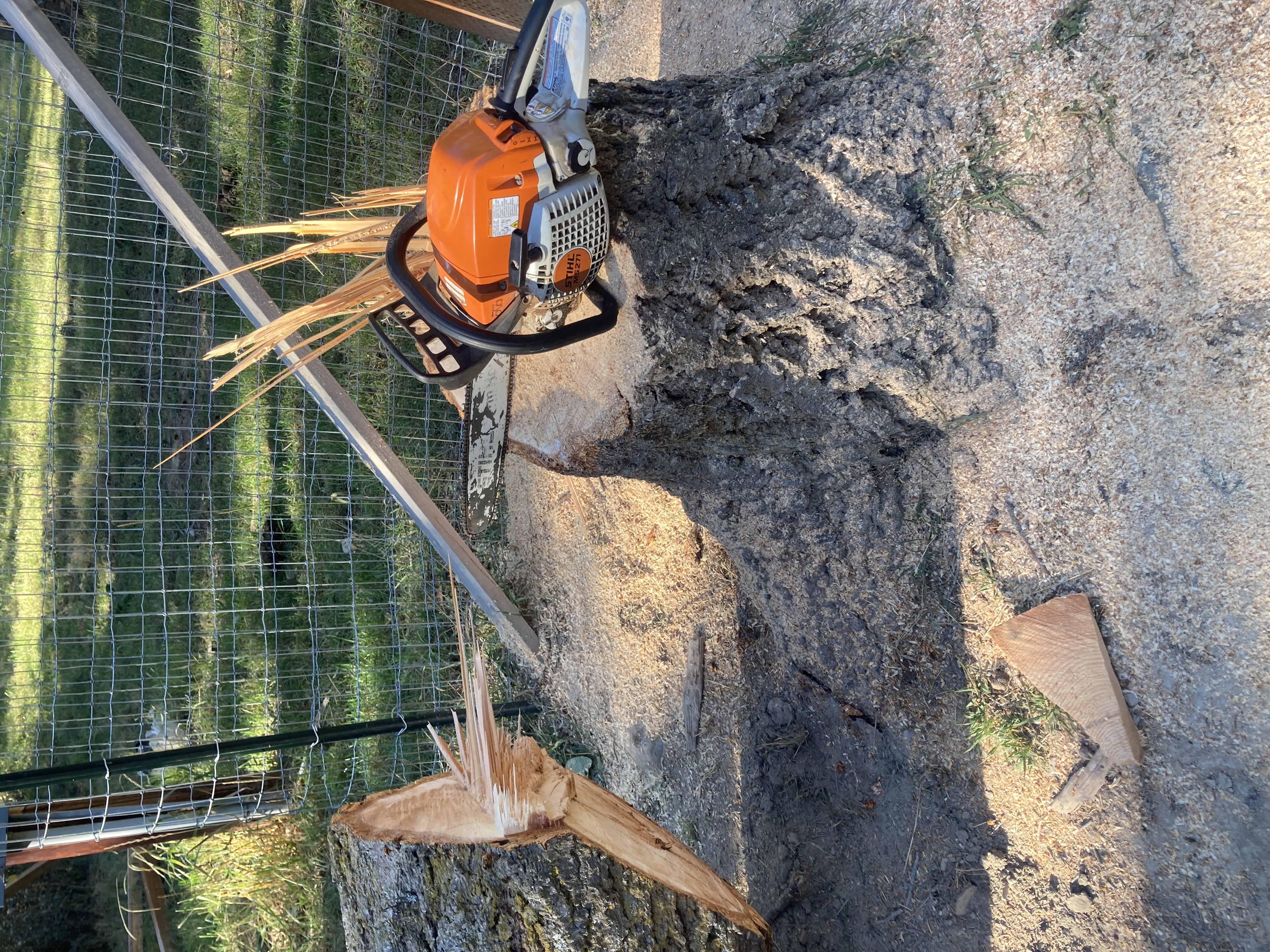 Avatar for 4064070326