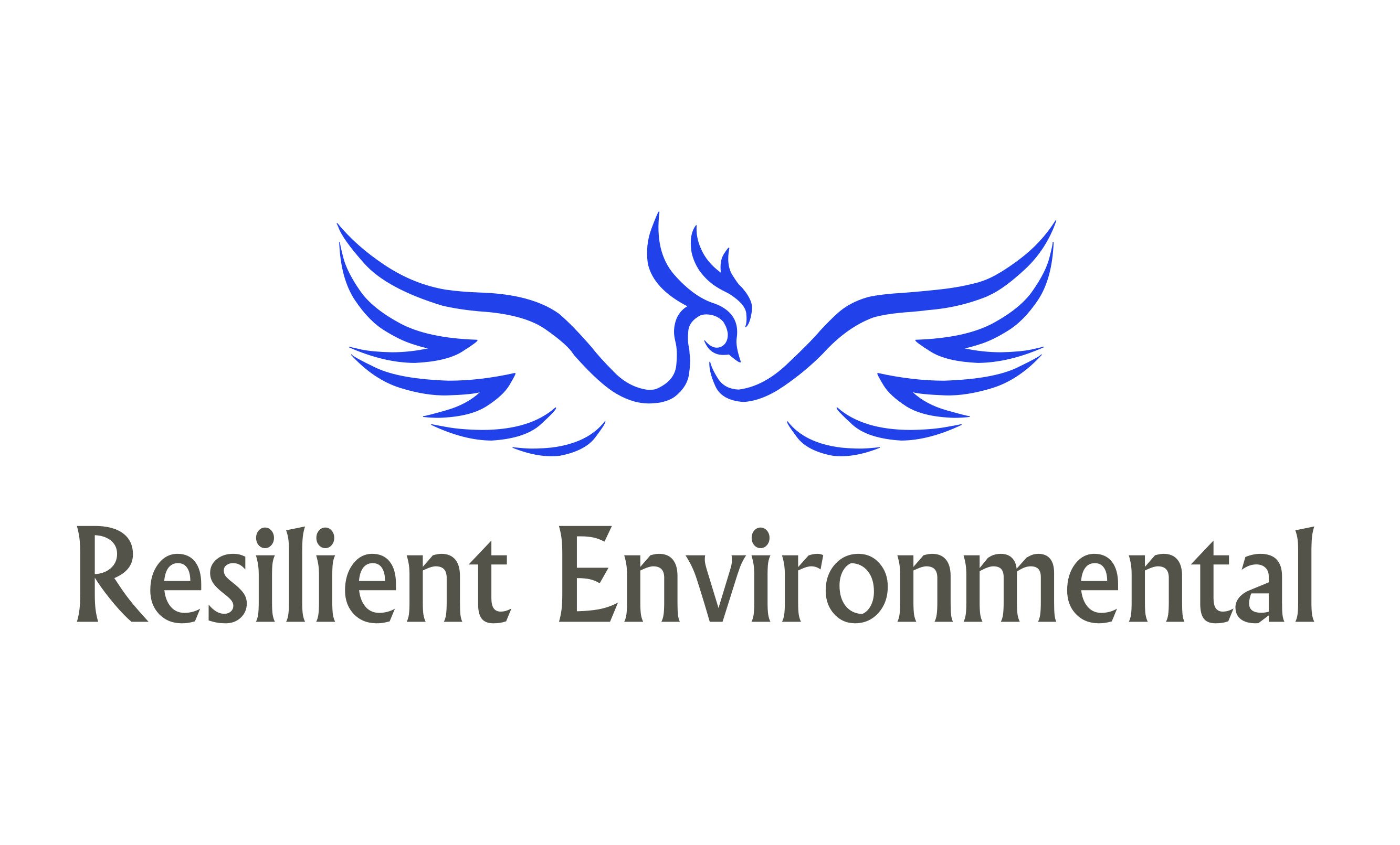 Avatar for Resilient Environmental