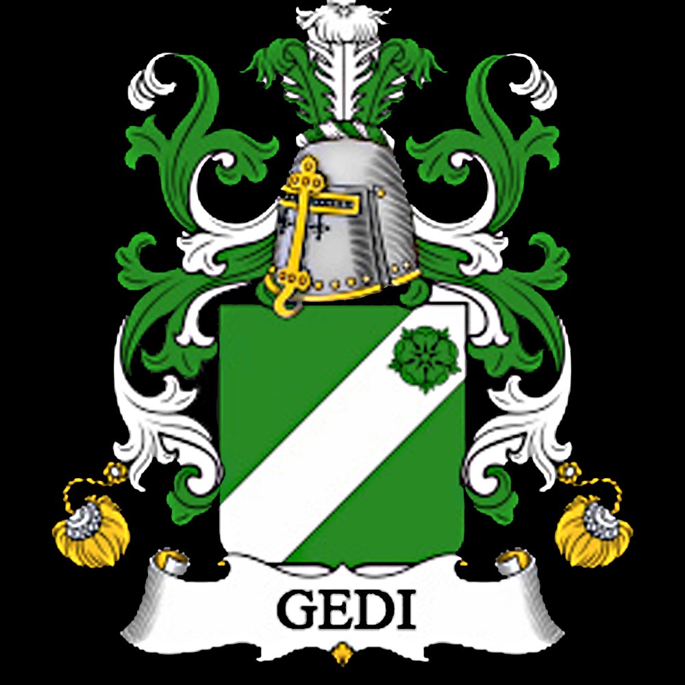 Avatar for GEDI INC.