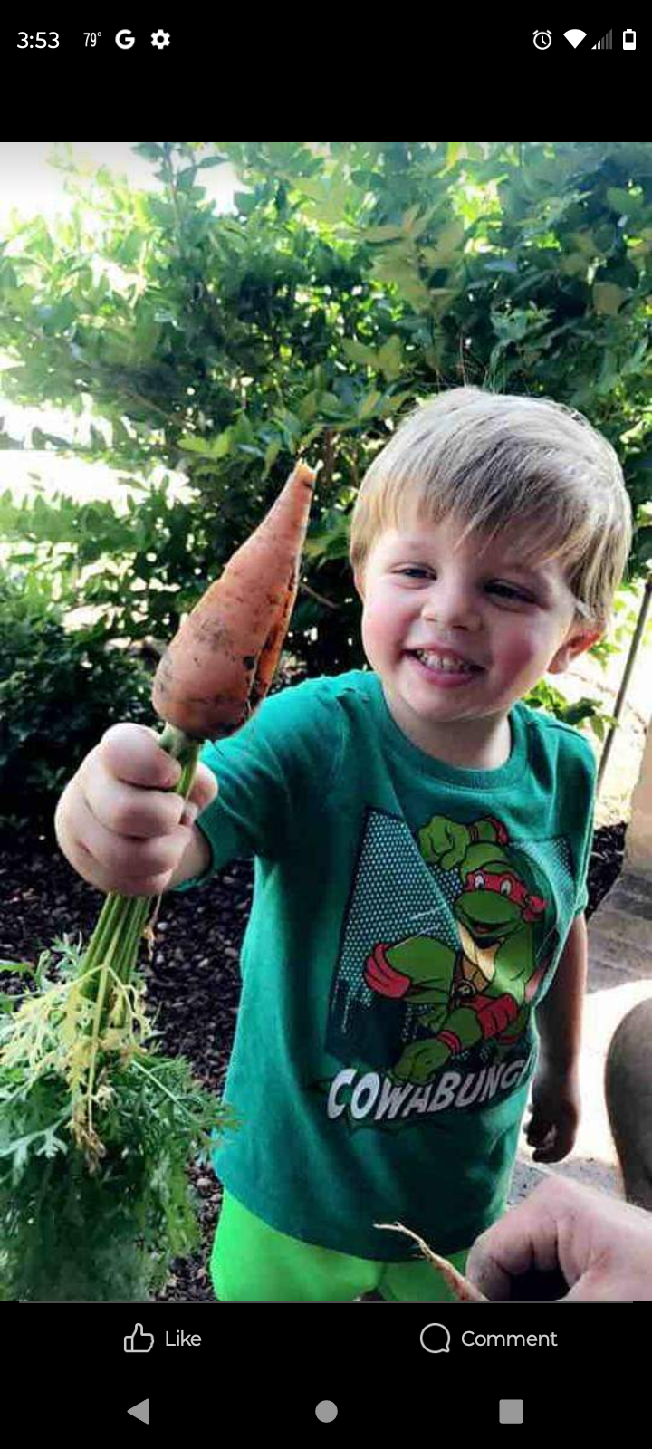 Avatar for B&B electricial