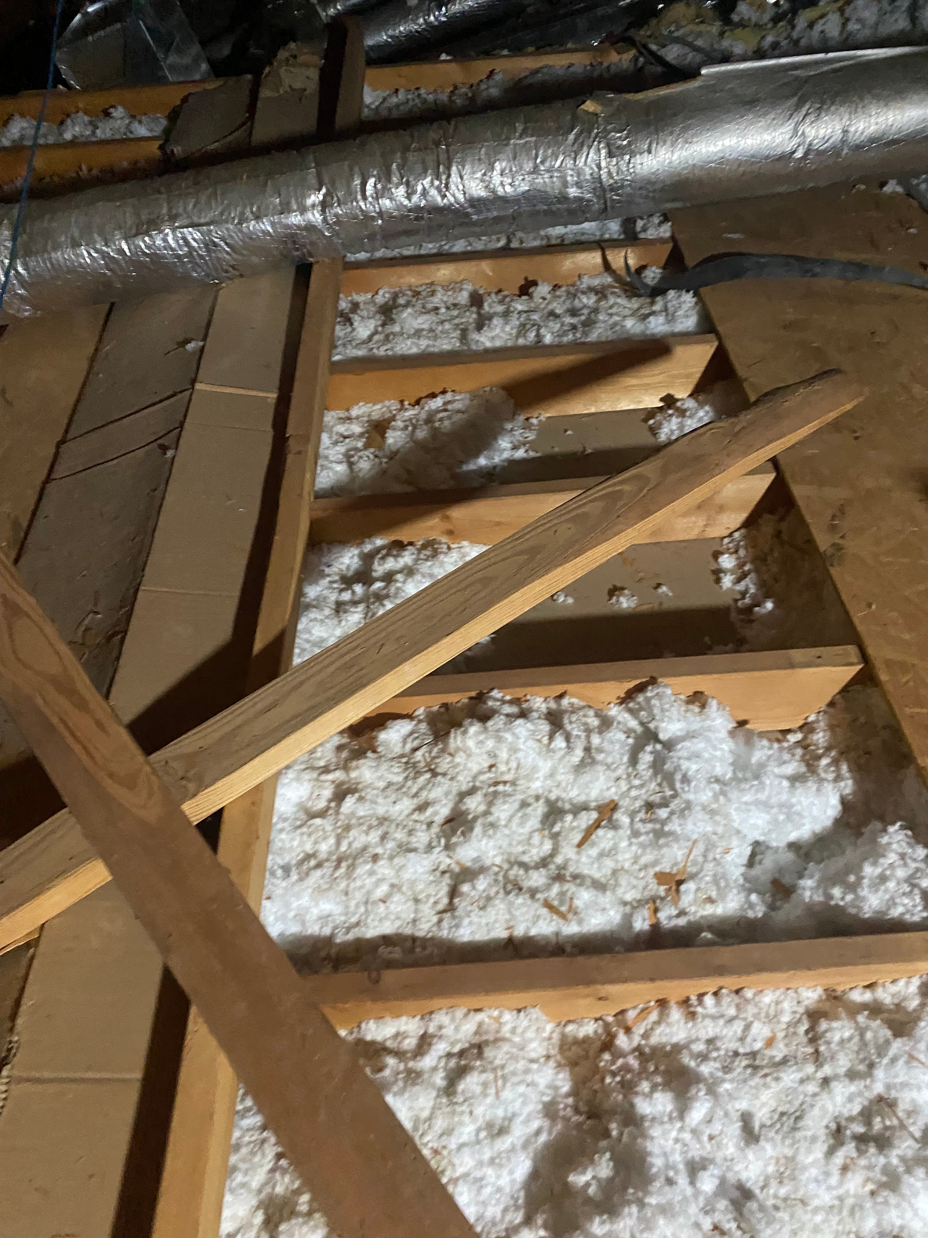 Avatar for Down the Drain