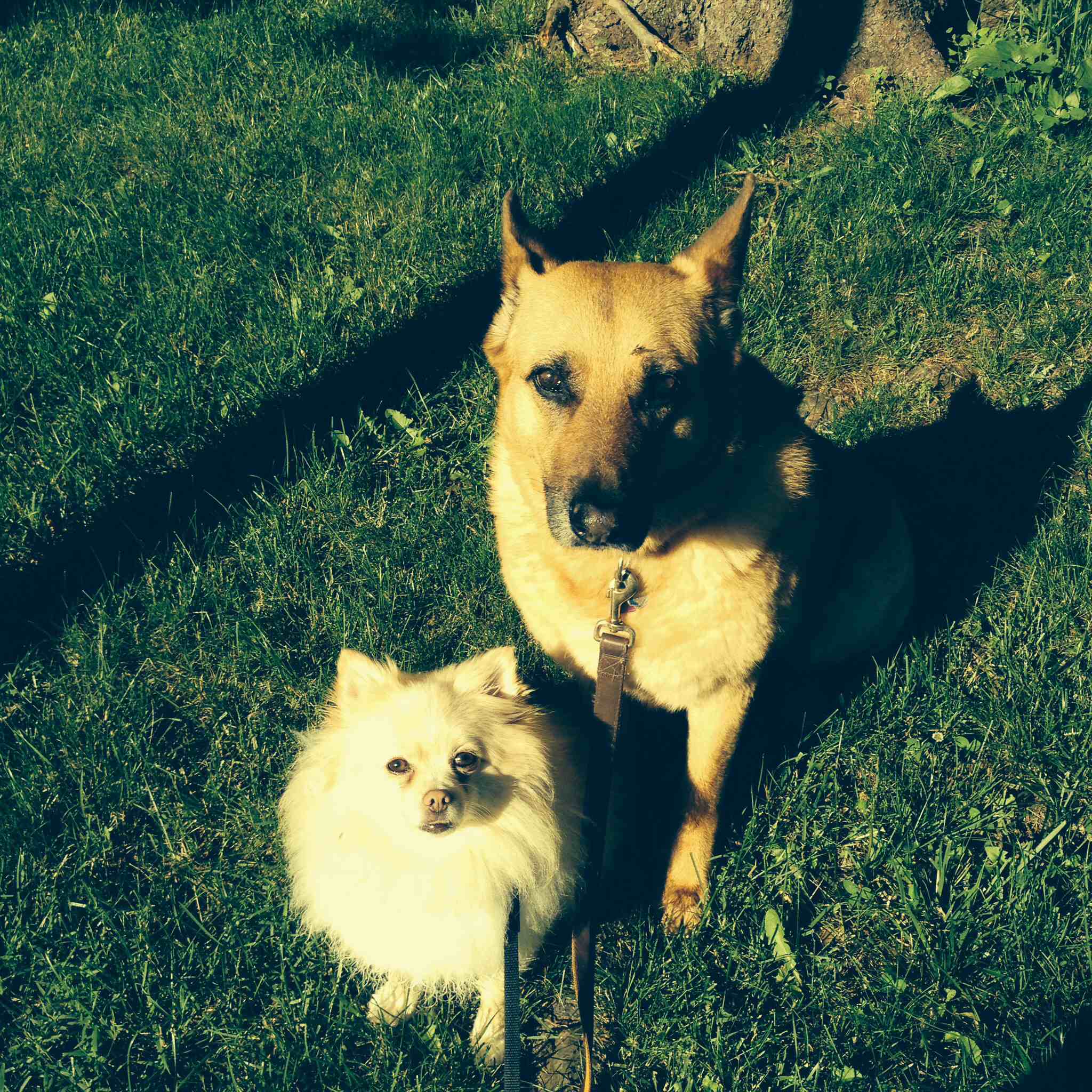 pooh bear & Cindy 
