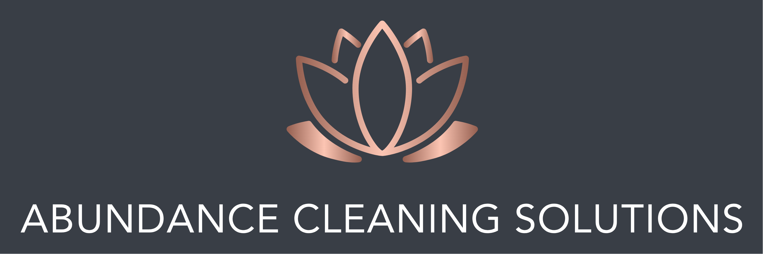 Avatar for Abundance Cleaning Solutions