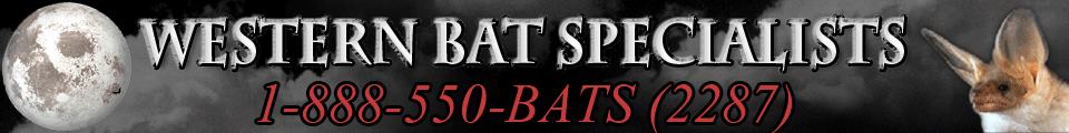 Avatar for Western Bat Specialists